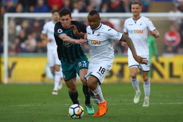 种兼具成功 种兼具成功